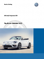 SSP 523 The Beetle Cabriolet 2013