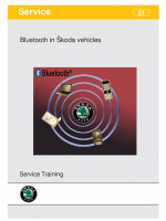 SSP 081 Bluetooth in SKODA cars