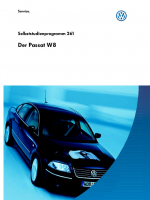 SSP 261 Der Passat W8
